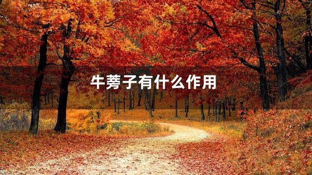 牛蒡子有什么作用