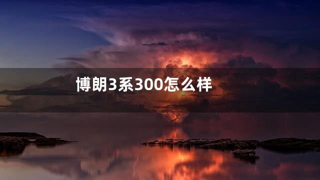 博朗3系300怎么样