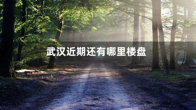 武汉近期还有哪里楼盘