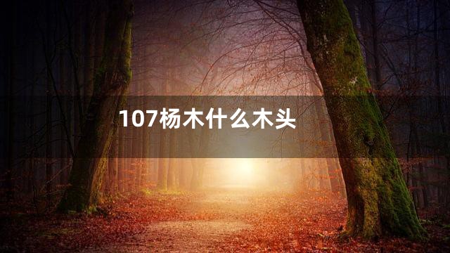 107杨木什么木头