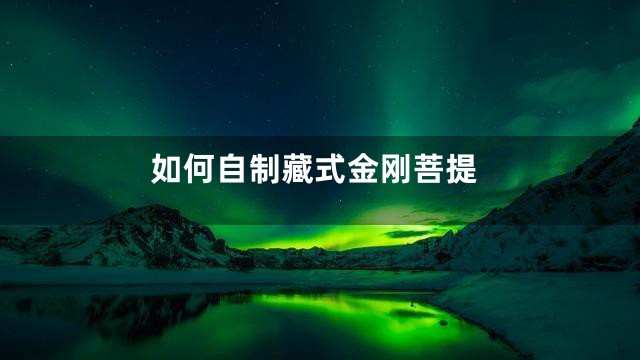 如何自制藏式金刚菩提