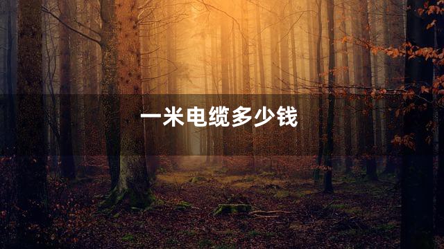 一米电缆多少钱
