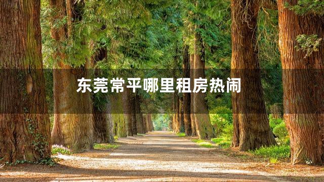 东莞常平哪里租房热闹