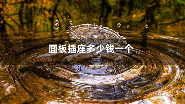 面板插座多少钱一个