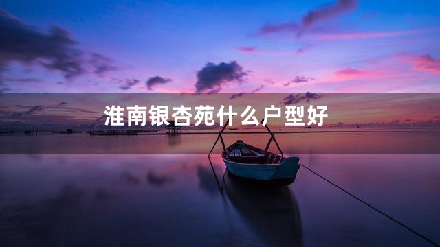 淮南银杏苑什么户型好