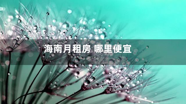 海南月租房 哪里便宜