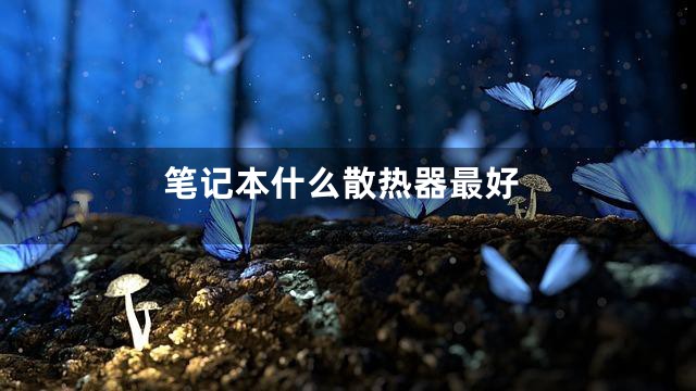 笔记本什么散热器最好