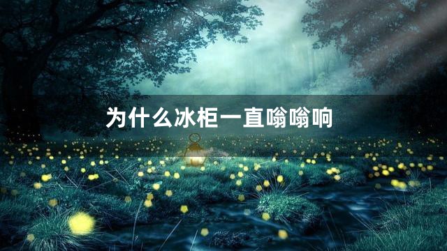 为什么冰柜一直嗡嗡响