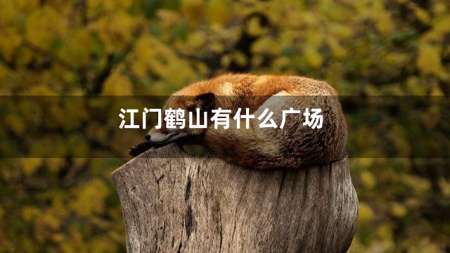 江门鹤山有什么广场