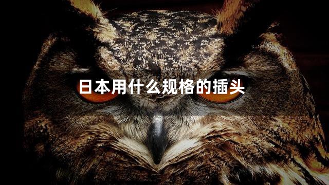 日本用什么规格的插头