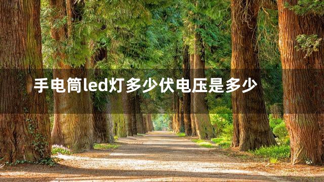 手电筒led灯多少伏电压是多少