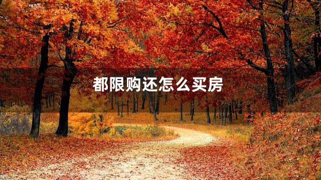 都限购还怎么买房