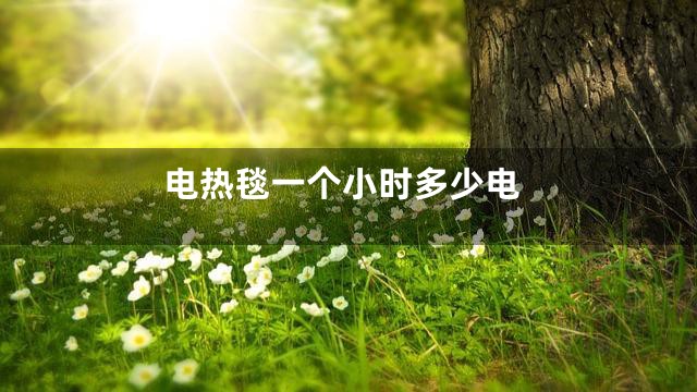 电热毯一个小时多少电