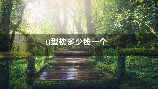 u型枕多少钱一个