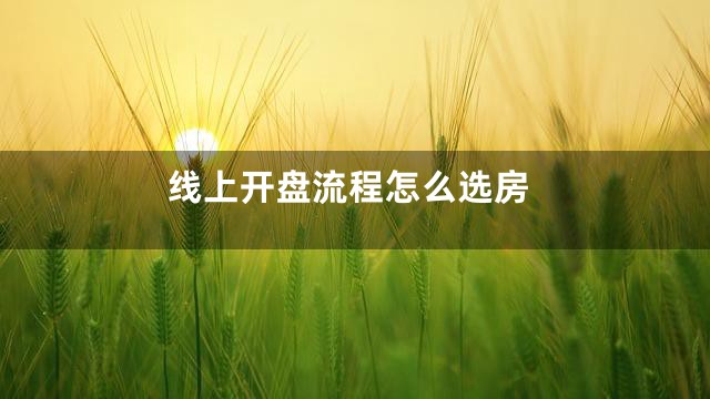 线上开盘流程怎么选房