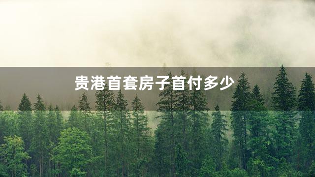 贵港首套房子首付多少