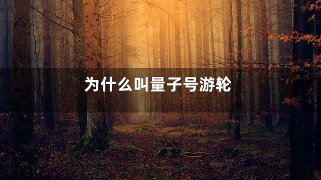 为什么叫量子号游轮