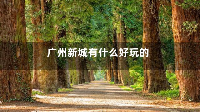 广州新城有什么好玩的