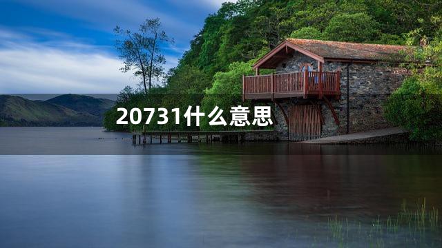 20731什么意思