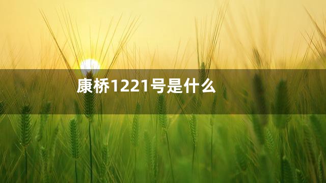 康桥1221号是什么