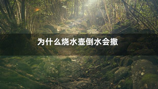 为什么烧水壶倒水会撒