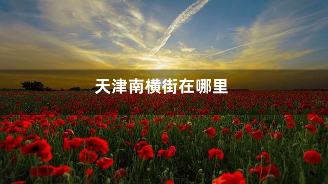 天津南横街在哪里