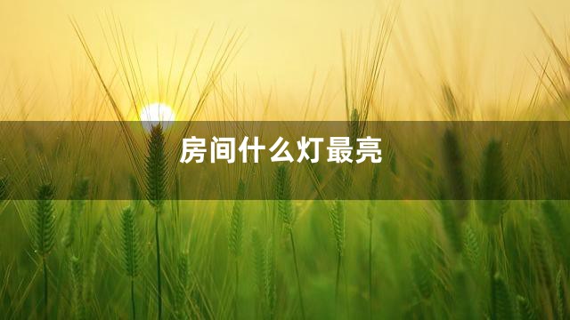 房间什么灯最亮