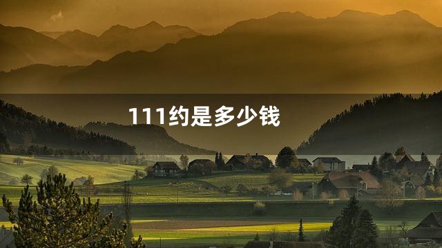 111约是多少钱