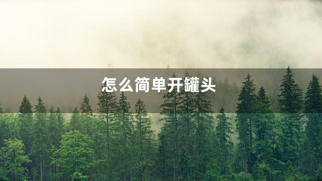 怎么简单开罐头