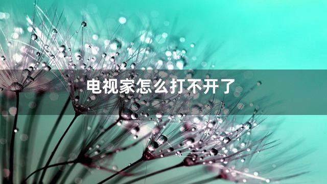 电视家怎么打不开了