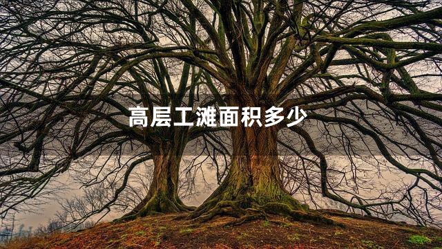 高层工滩面积多少