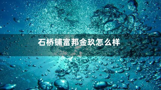 石桥铺富邦金玖怎么样