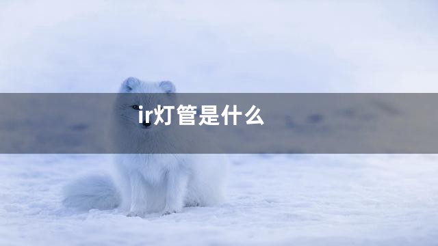 ir灯管是什么