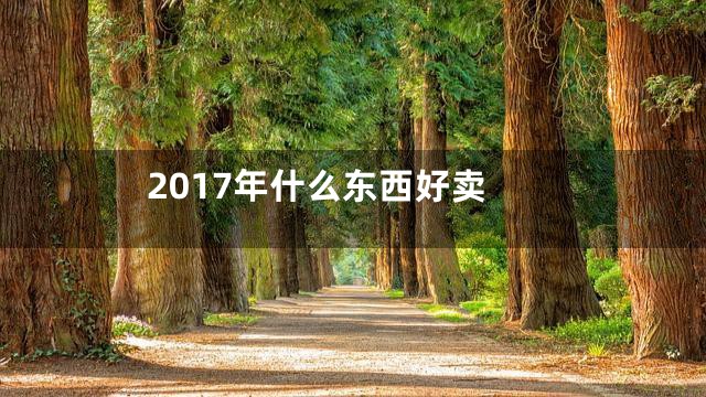 2017年什么东西好卖