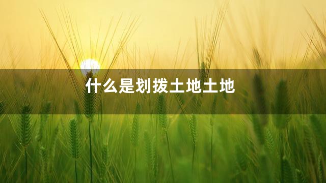 什么是划拨土地土地