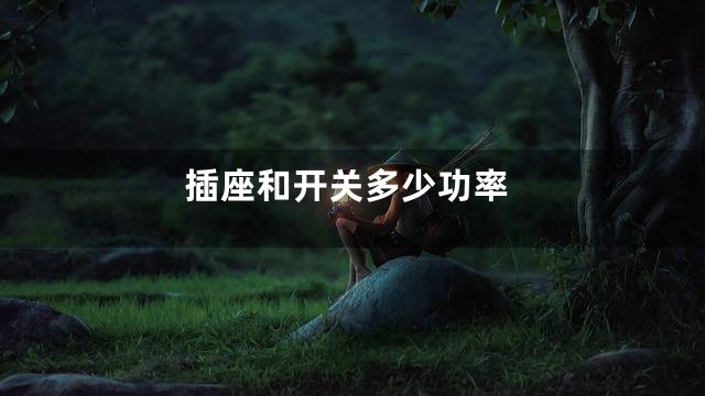 插座和开关多少功率