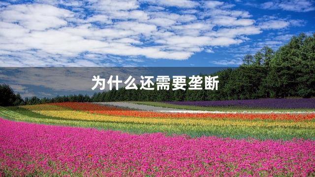 为什么还需要垄断