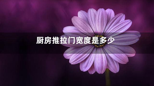 厨房推拉门宽度是多少