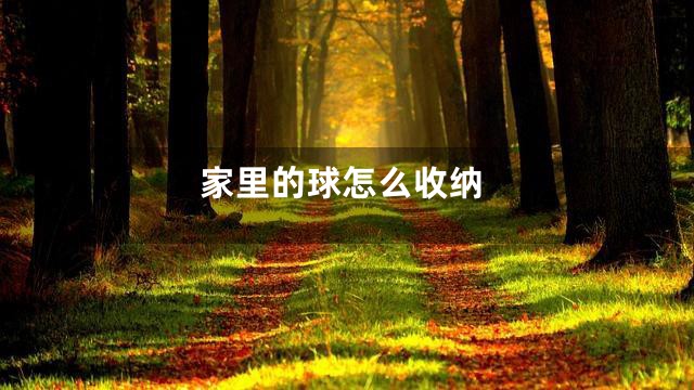 家里的球怎么收纳