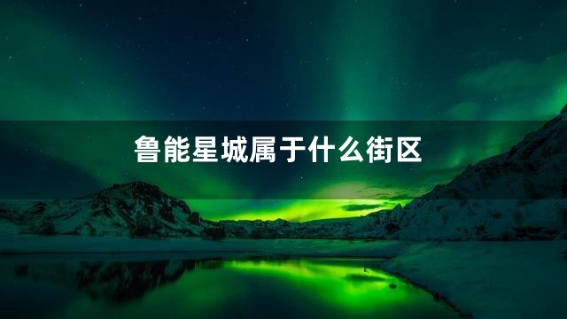 鲁能星城属于什么街区