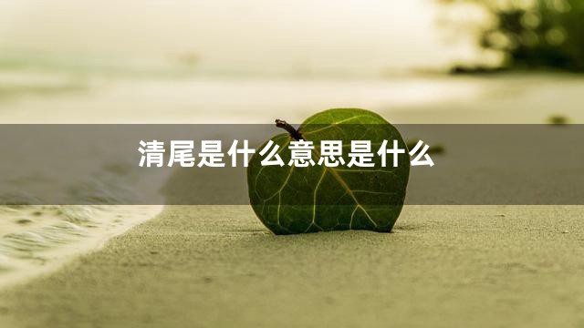 清尾是什么意思是什么