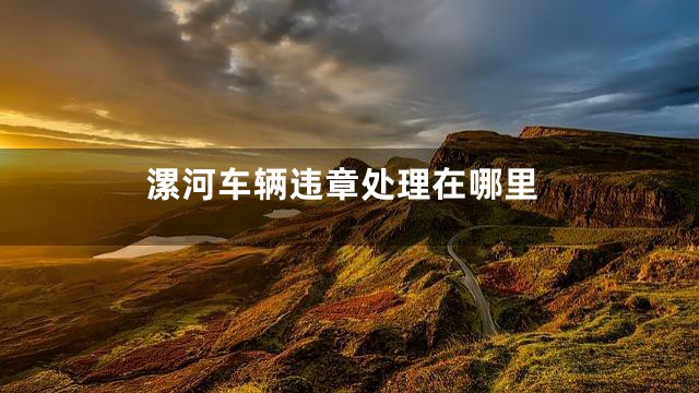 漯河车辆违章处理在哪里