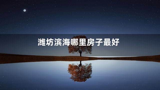 潍坊滨海哪里房子最好