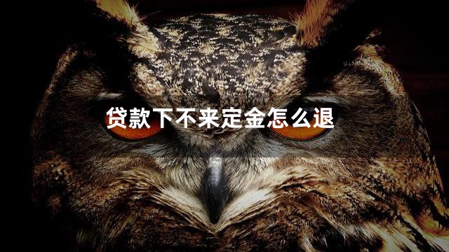 贷款下不来定金怎么退