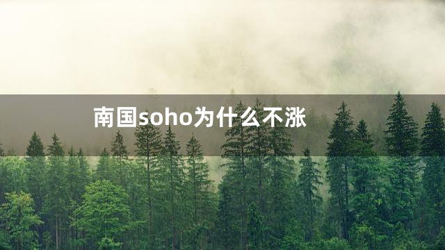 南国soho为什么不涨
