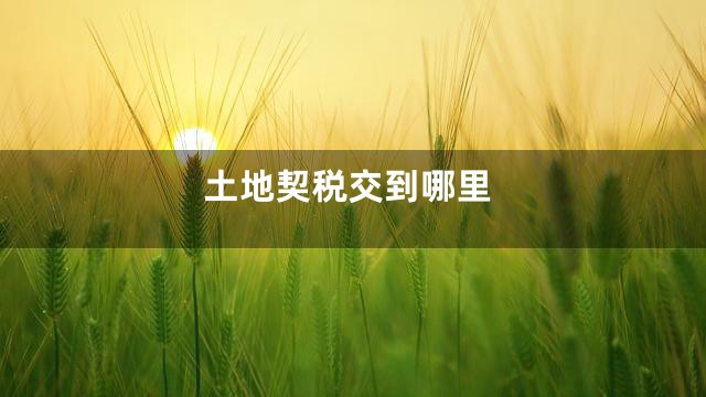 土地契税交到哪里