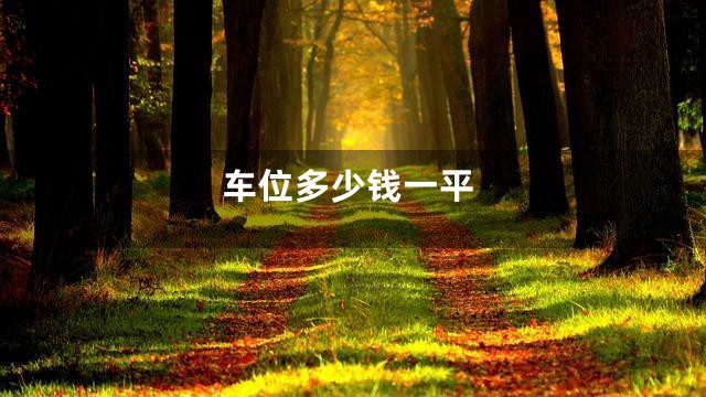 车位多少钱一平