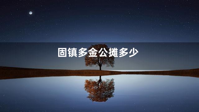 固镇多金公摊多少