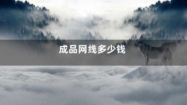 成品网线多少钱