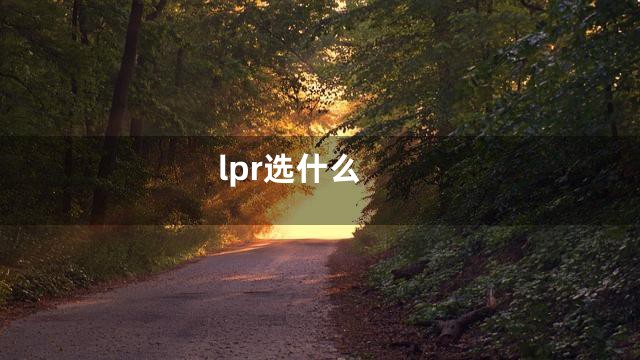 lpr选什么
